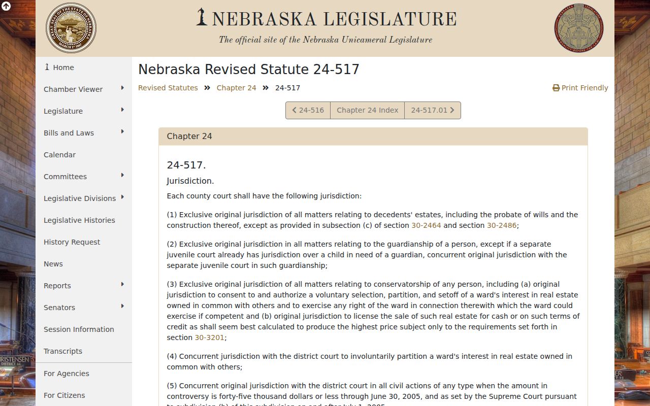 York criminal docket County Court jurisdiction statute, 1280 by 800 pixels
